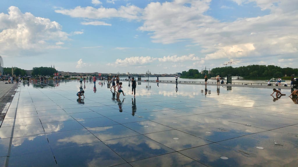 Laguna tranquilla con riflessi degli alberi sull'acqua, atmosfera serena, Bordeaux, Francia in bicicletta